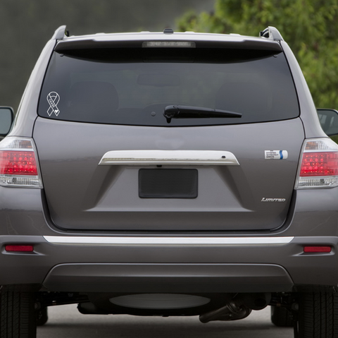 CHASE CAR DECAL