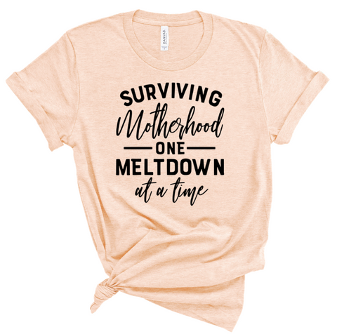 SURVIVING MOTHERHOOD ONE MELTDOWN AT A TIME